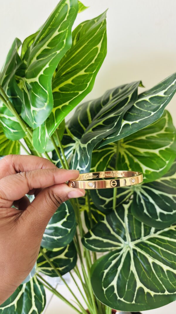 Cartier Luxe Bangle - Image 2